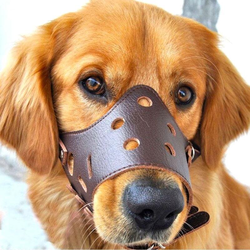 Soft Leather Anti-Bite Muzzle. Maximum Safety. Adjustable. Breathable. Suitable for Small and Large Dogs. Allows Drinking and Eating