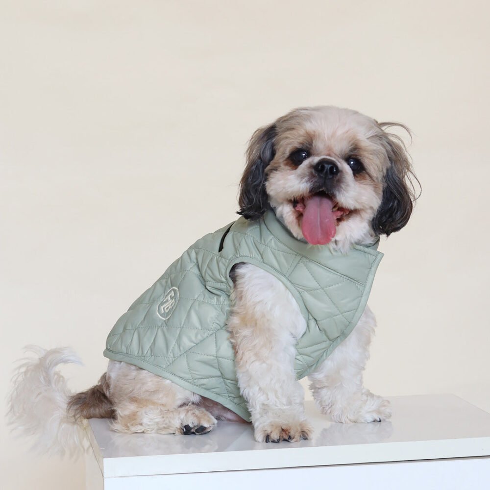 New Pistache Packable Quilted Dog jacket