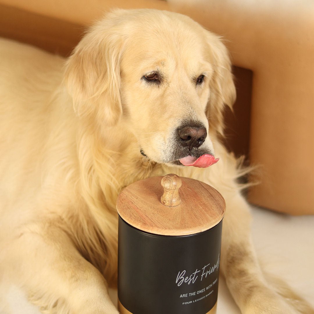 Food & Treat Containers - Best Friend - Image 3