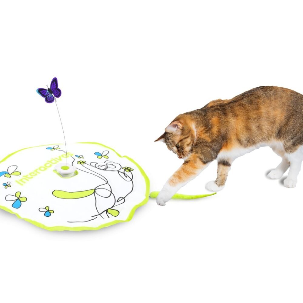 all-for-paws-interactives-flutter-bug-with-hide-n-seek-892557.jpg