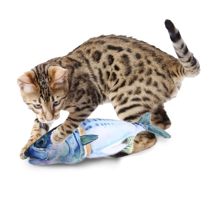 All For Paws Natural Instinct Chopped Mackerel Cuddler - Image 4
