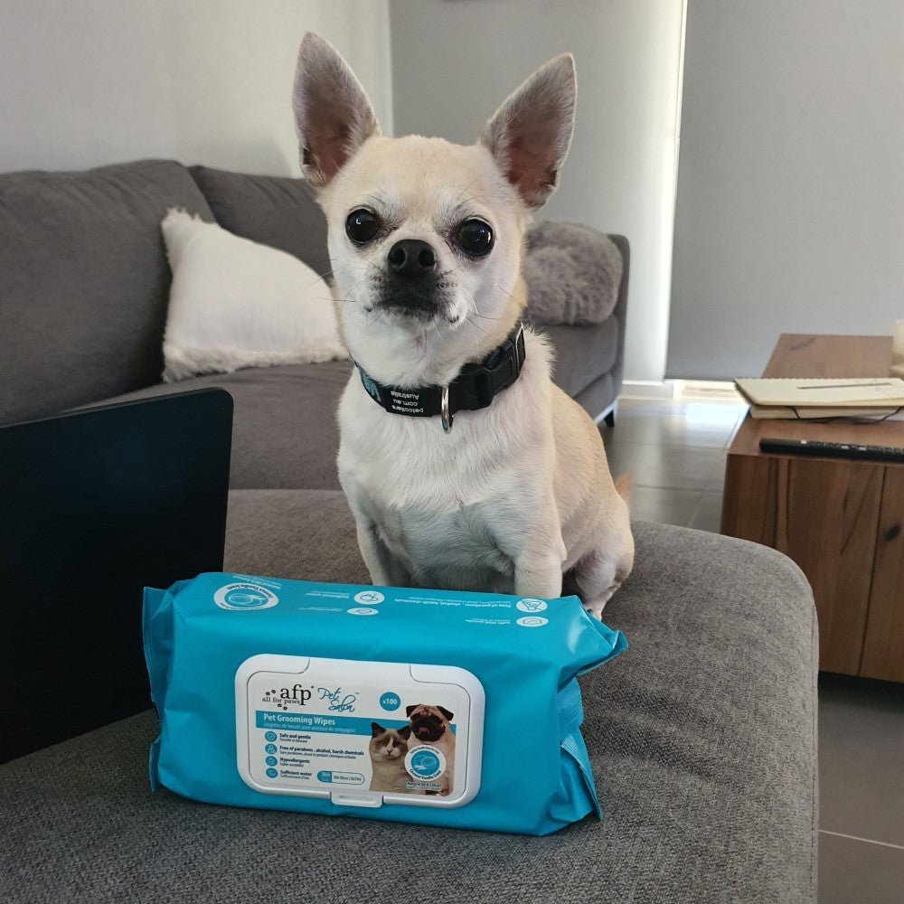 all-for-paws-pet-salon-pet-grooming-wipes-coconut-vanilla-scent-100-wipes-957181.jpg