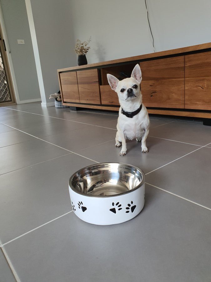 Somerzby Pet Bowl - Image 5