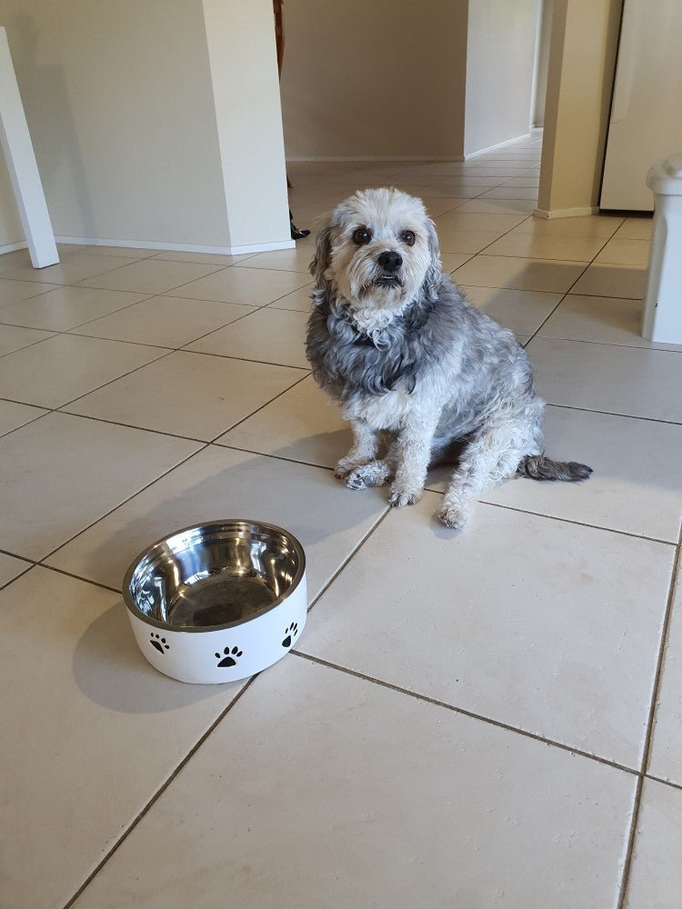 Somerzby Pet Bowl - Image 4